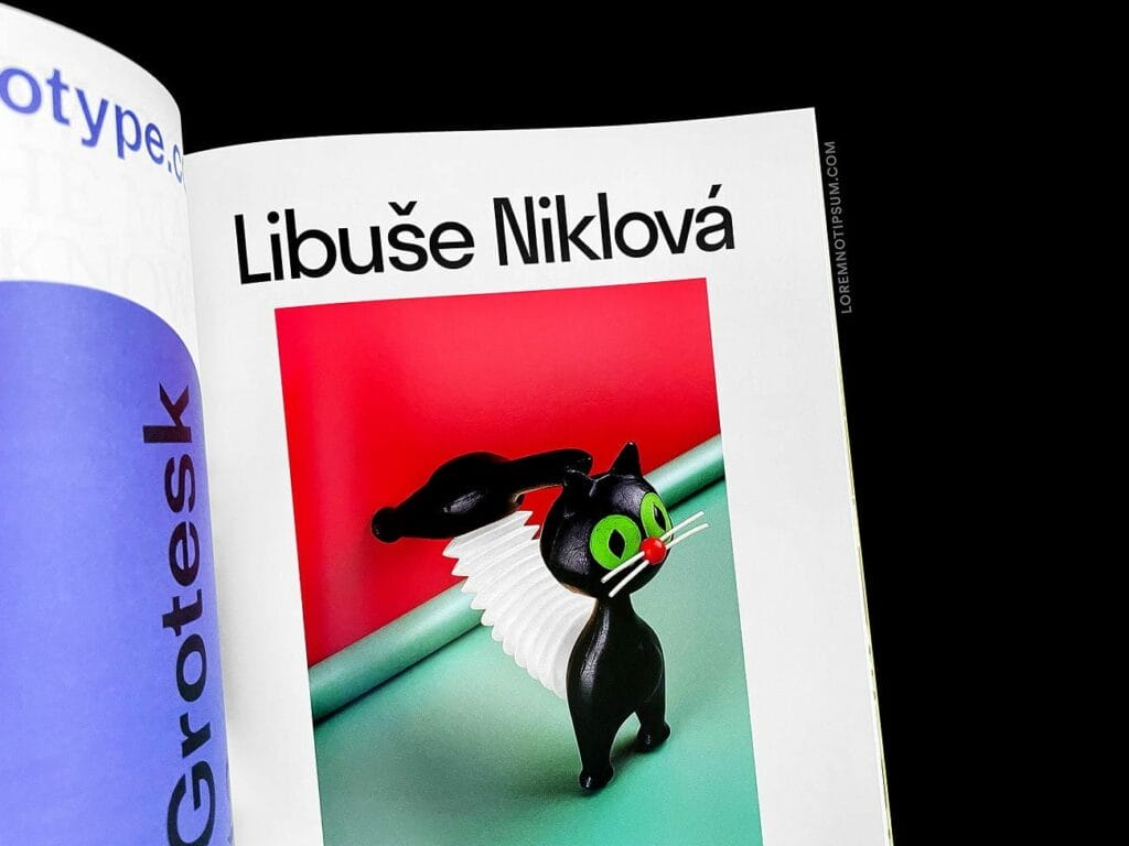 Backstage Talks Magazine Issue 6 – loremnotipsum.com
