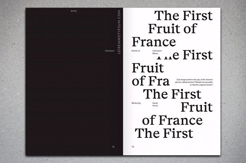 A New Type of Imprint Volume 13 – loremnotipsum.com