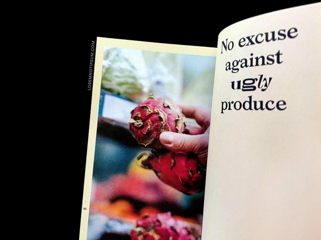 Are We Europe Magazine Issue 15 (Down to Earth) – loremnotipsum.com
