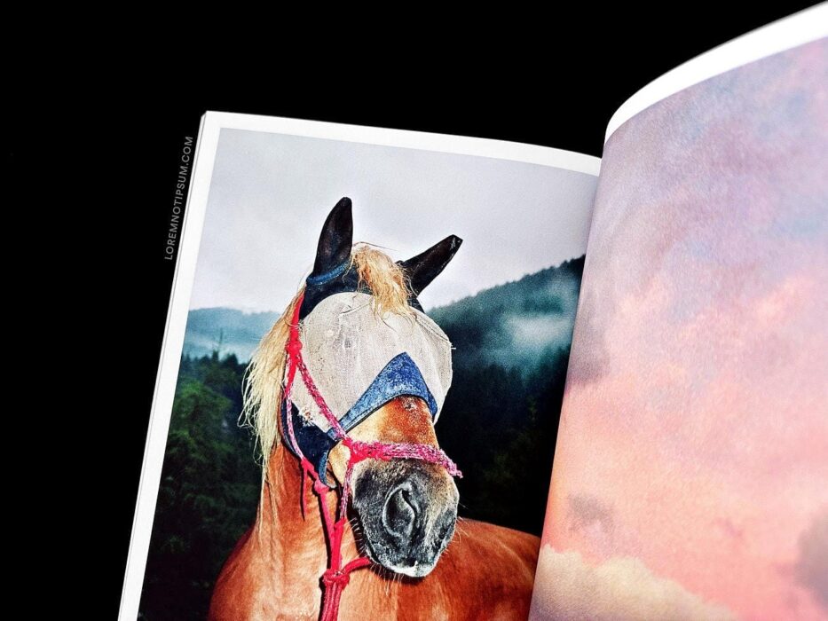 Athleta Magazine Issue 8 – loremnotipsum.com