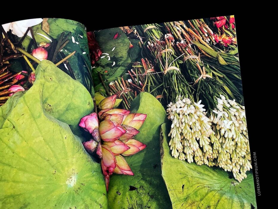 Beauty Papers Magazine Issue 9 (Fight) – loremnotipsum.com