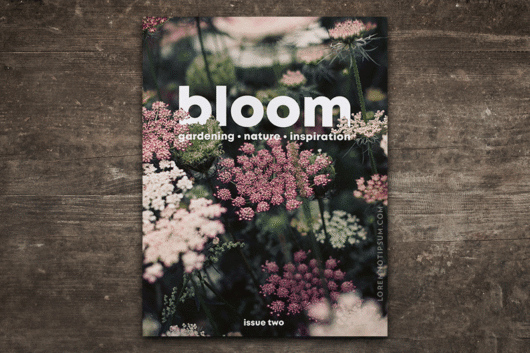 Bloom Magazine Issue 2 – loremnotipsum.com