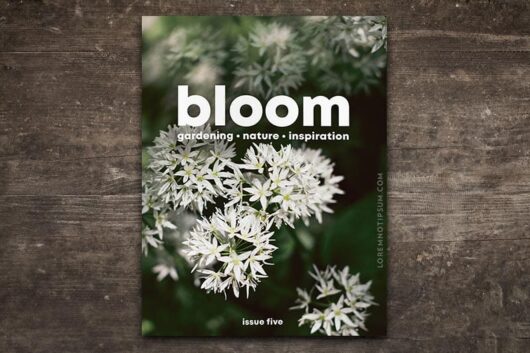 Bloom Magazine Issue 5 – loremnotipsum.com