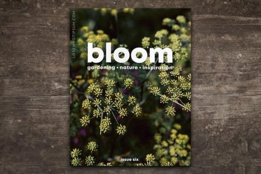 Bloom Magatzine Issue 6 – loremnotipsum.com