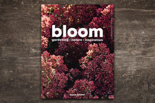 Bloom Magazine Issue 7 – loremnotipsum.com