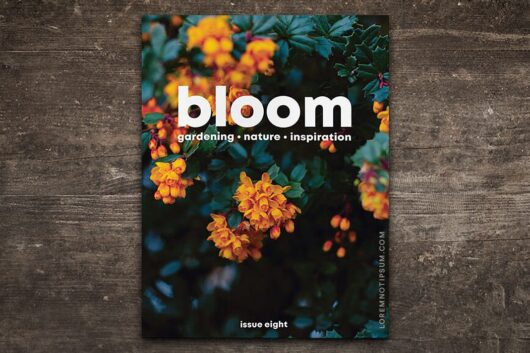 Bloom Magazine Issue 8 – loremnotipsum.com