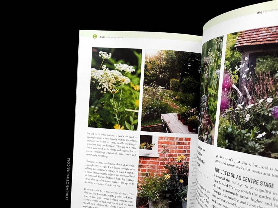 Bloom Magazine Issue 9 – loremnotipsum.com