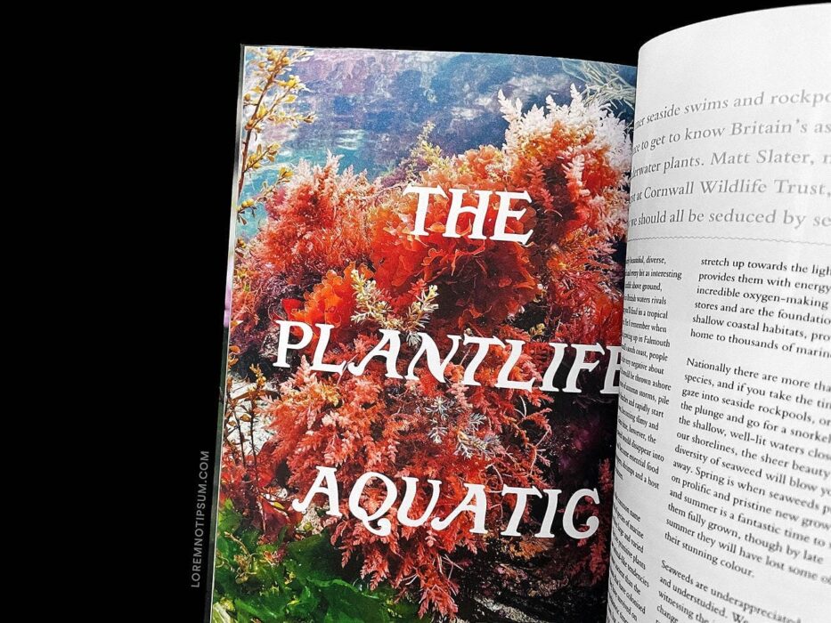 Bloom Magazine Issue 9 – loremnotipsum.com