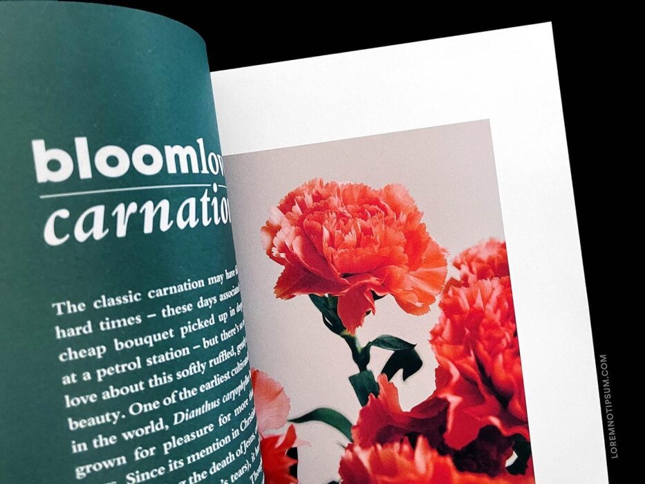 Bloom Magazine Issue 9 – loremnotipsum.com