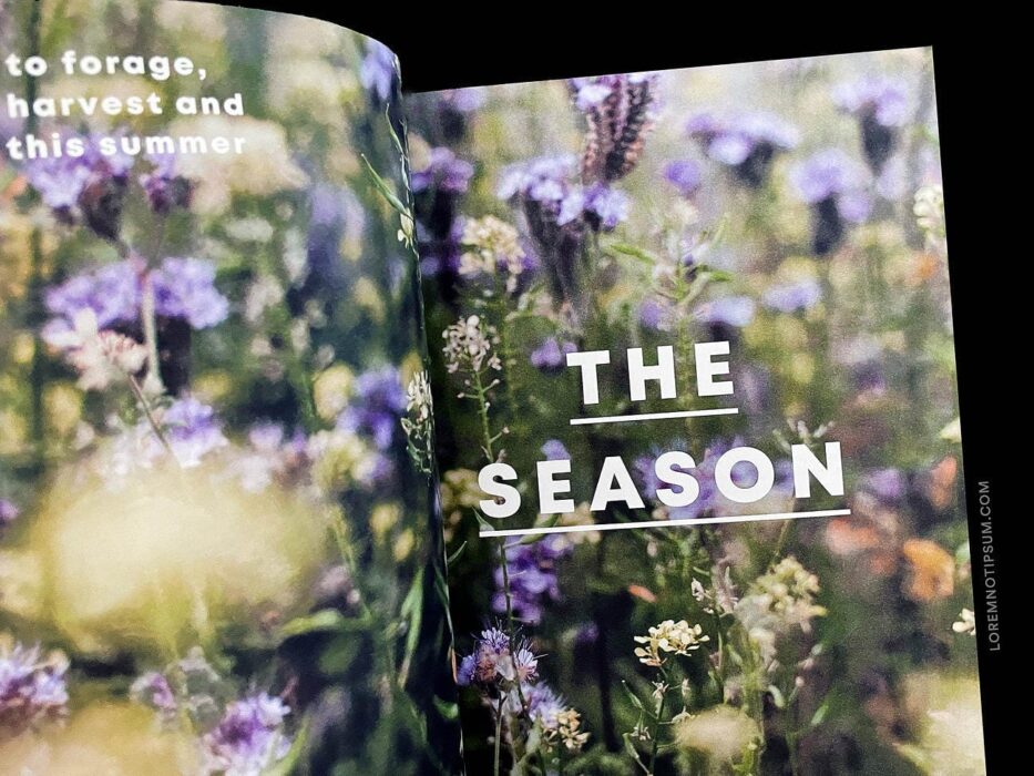 Bloom Magazine Issue 9 – loremnotipsum.com