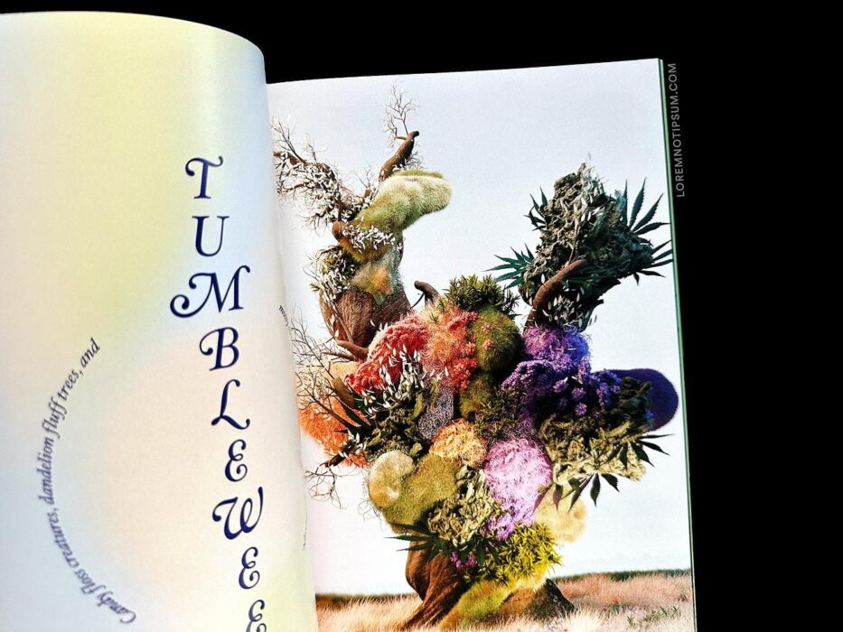 Broccoli Magazine Issue 15 – loremnotipsum.com