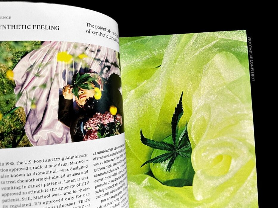 Broccoli Magazine Issue 15 – loremnotipsum.com