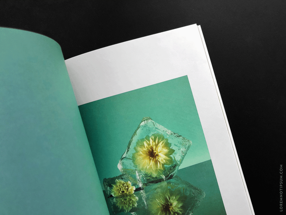 C41 Magazine Issue 6 (Drink) – loremnotipsum.com