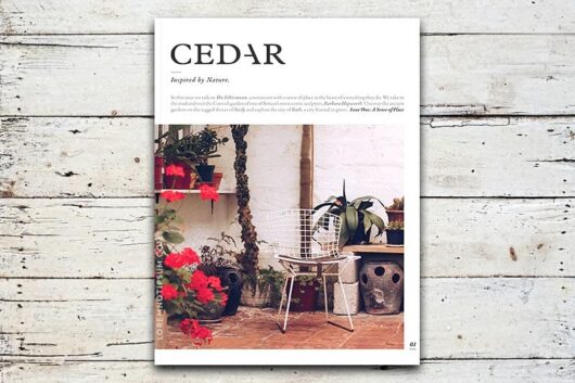 Cedar Magazine – Issue 1