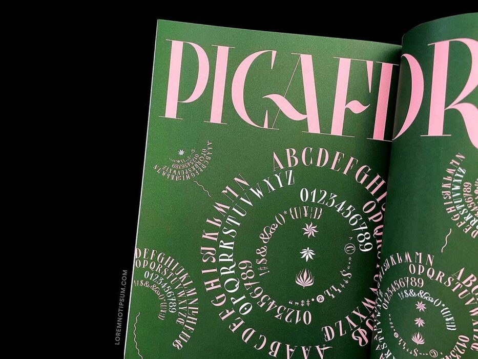 Cercle Magazine No. 9 (Flowers) – loremnotipsum.com