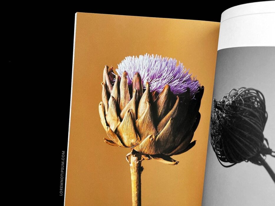 Cercle Magazine No. 9 (Flowers) – loremnotipsum.com