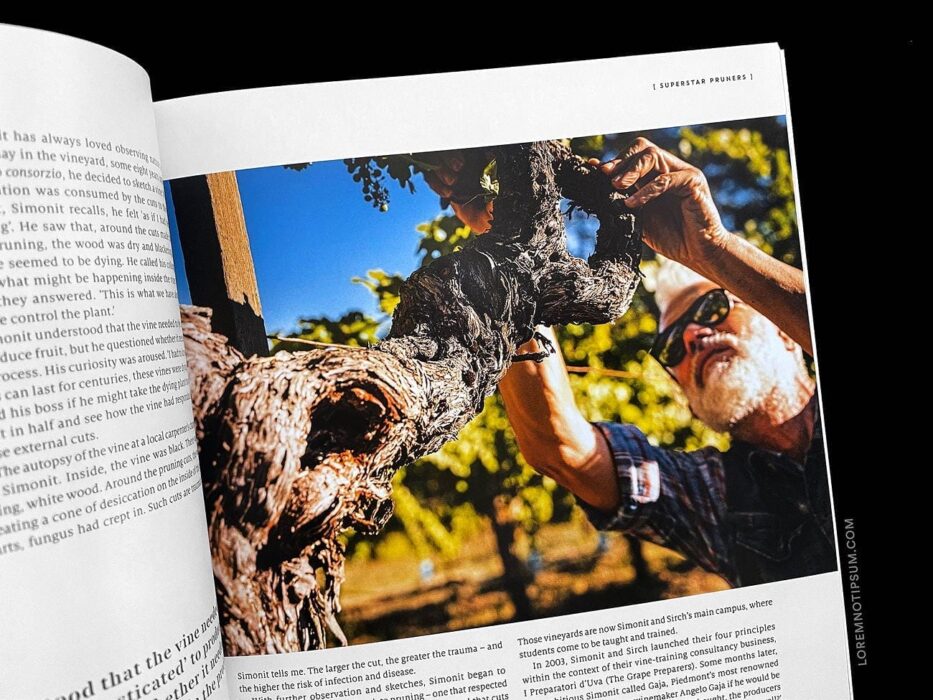 Club Oenologique Issue 7 – loremnotipsum.com