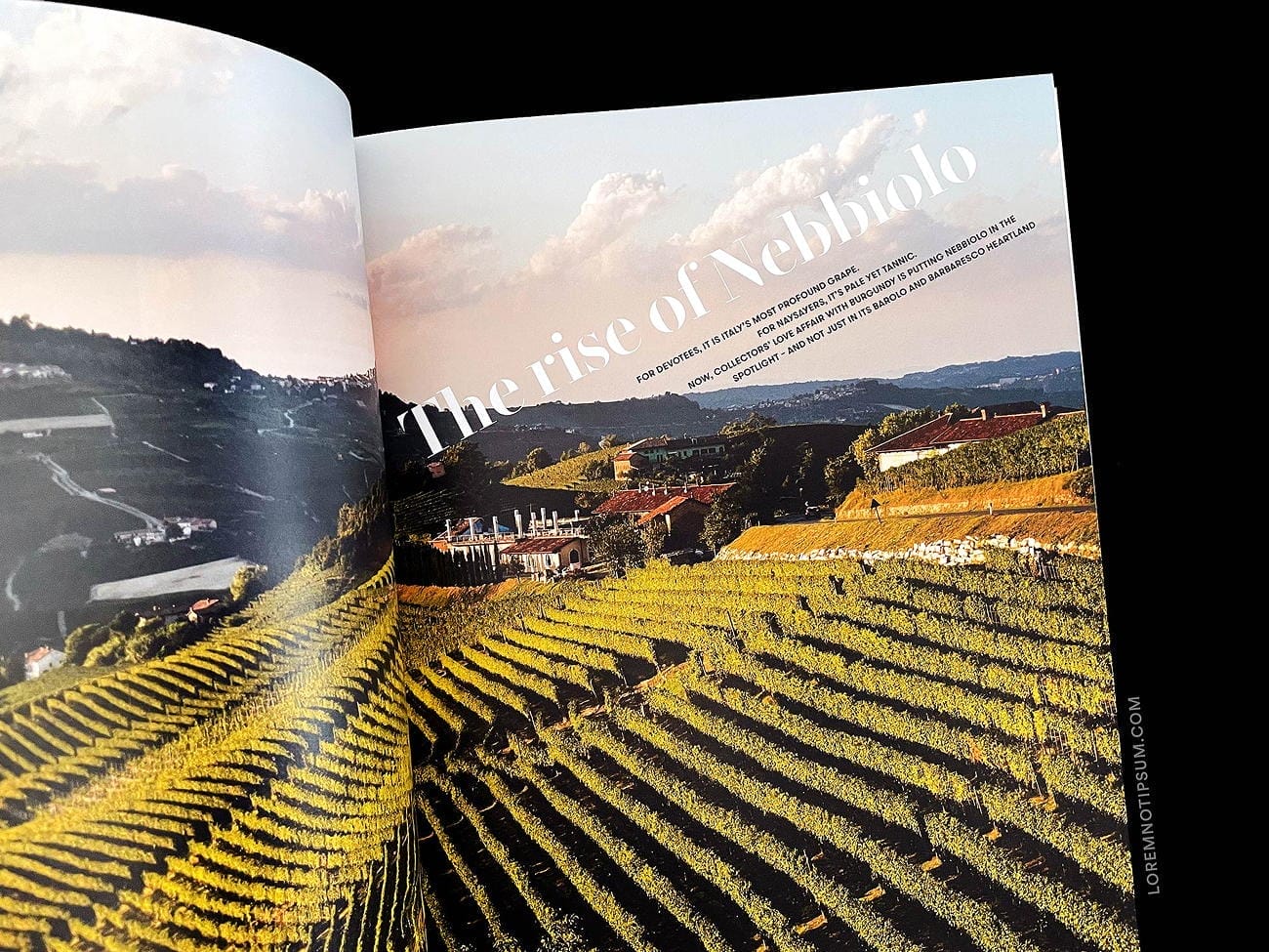 Club Oenologique Issue 7 – loremnotipsum.com