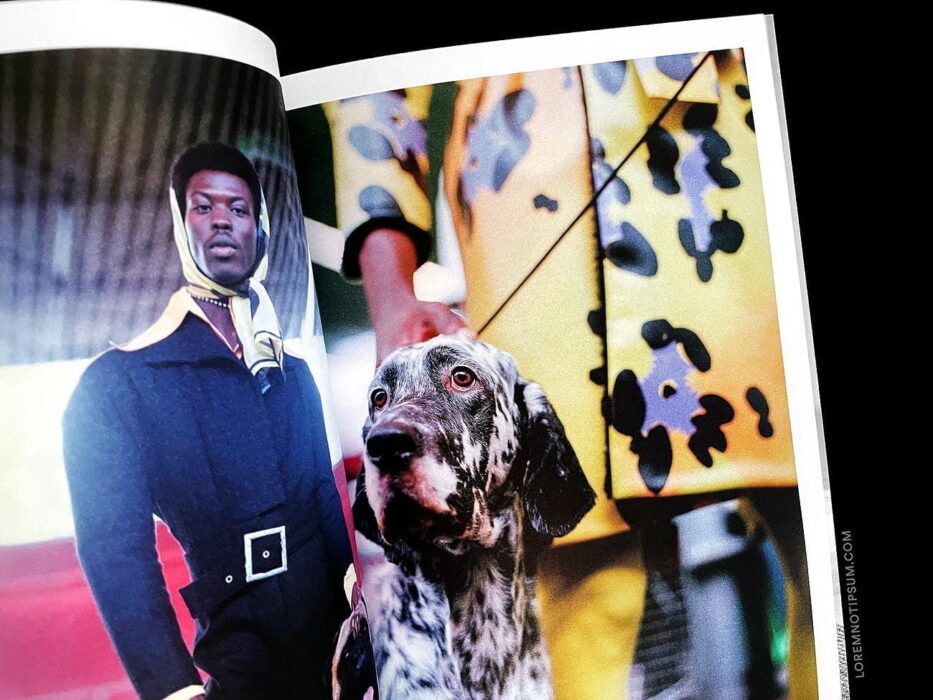 Dog Magazine Issue 7 (the Italian Greyhound) – loremnotipsum.com