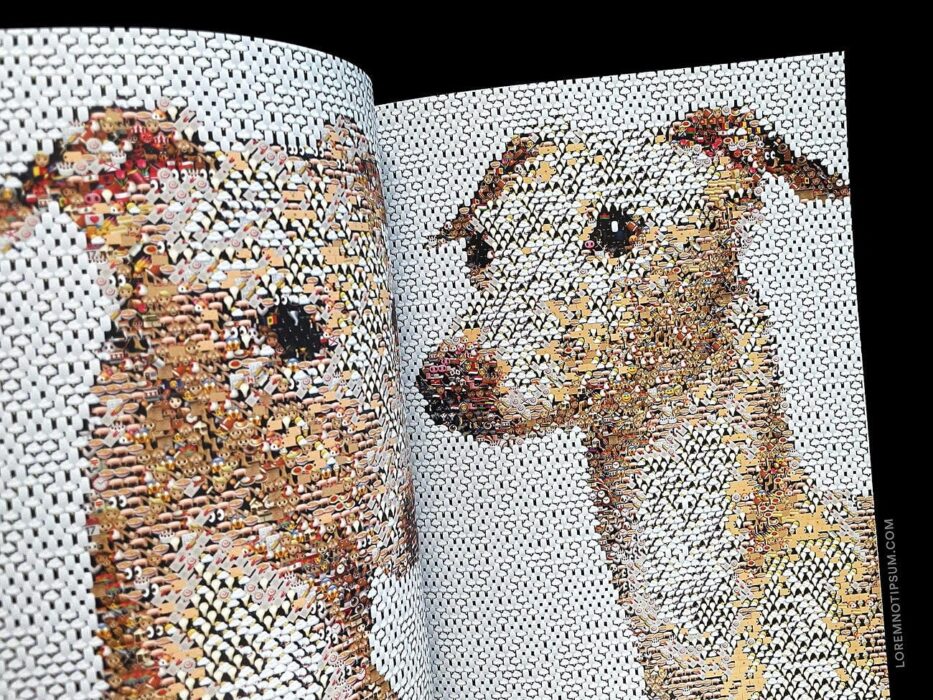 Dog Magazine Issue 7 (the Italian Greyhound) – loremnotipsum.com