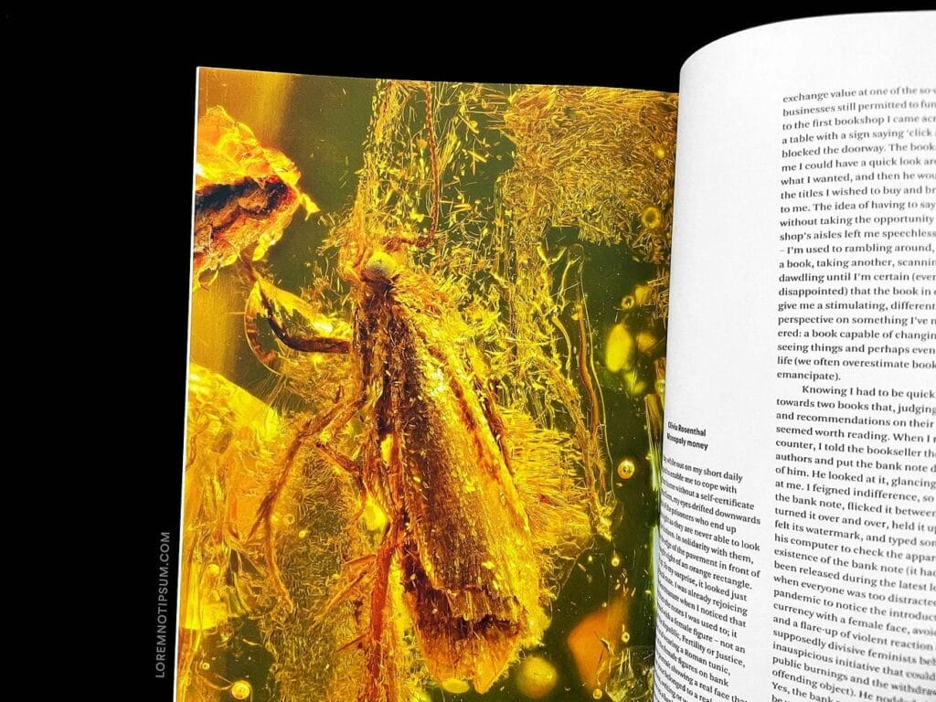 ELECTRA Magazine Issue 13 (Food) – loremnotipsum.com