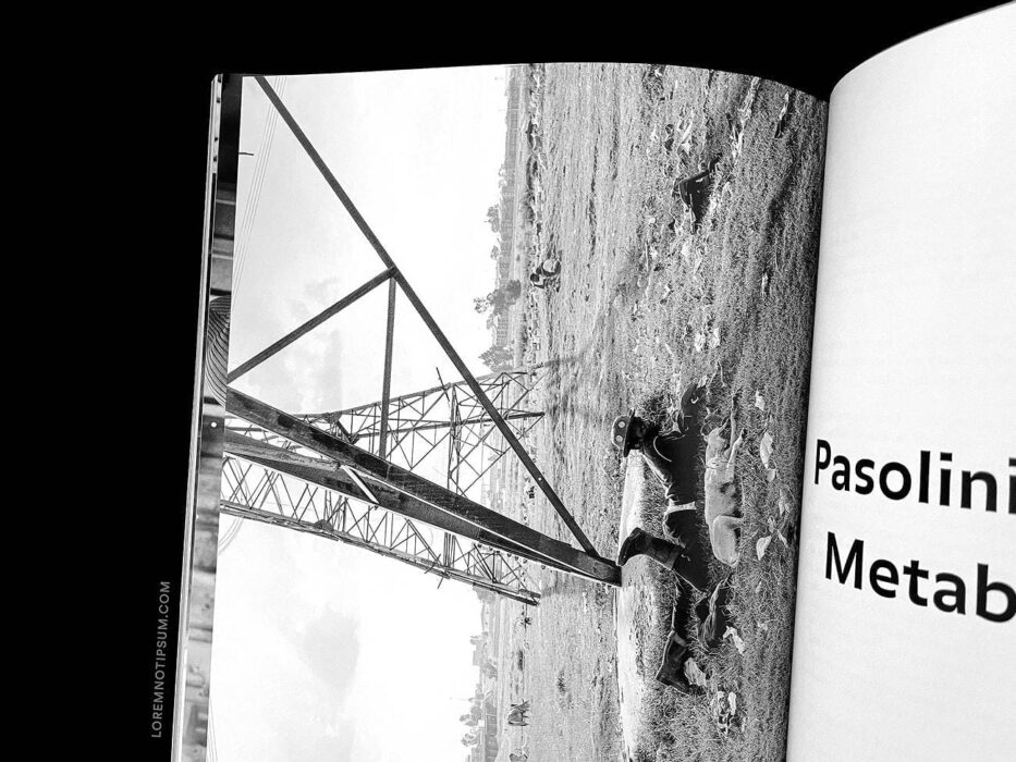 ELECTRA Magazine Issue 13 (Food) – loremnotipsum.com
