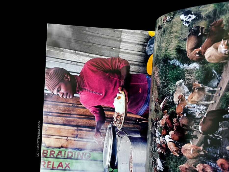 ELECTRA Magazine Issue 13 (Food) – loremnotipsum.com