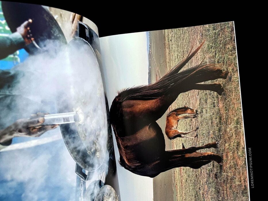 ELECTRA Magazine Issue 13 (Food) – loremnotipsum.com