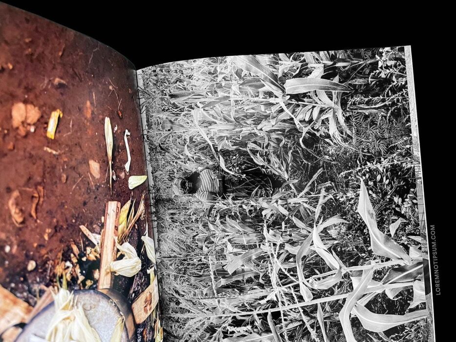 ELECTRA Magazine Issue 13 (Food) – loremnotipsum.com