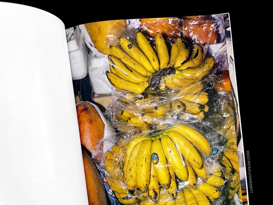 ELECTRA Magazine Issue 13 (Food) – loremnotipsum.com