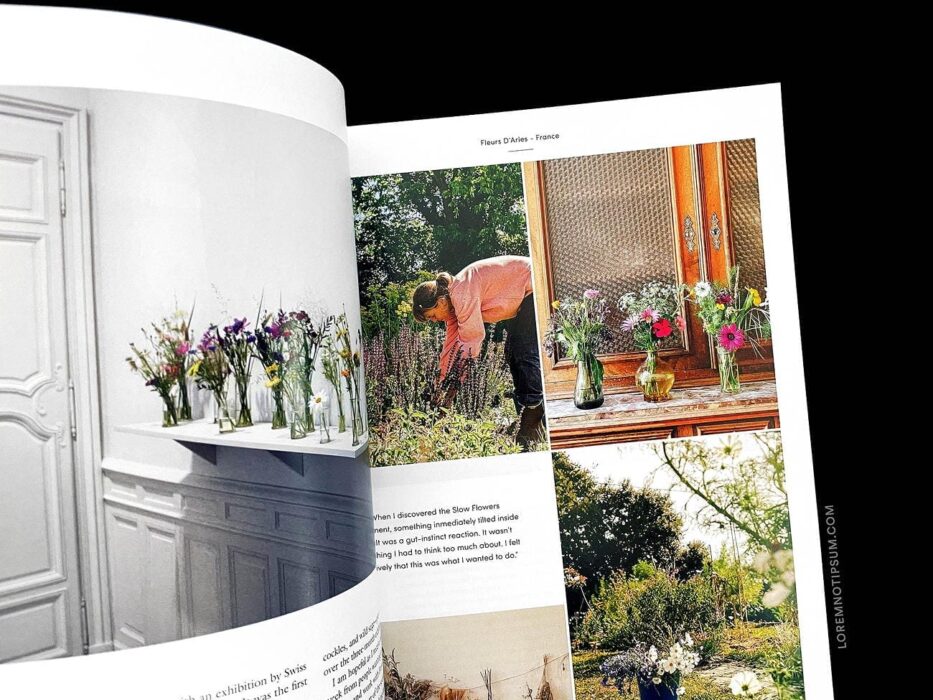 FAIRE Magazine Issue 2 – loremnotipsum.com