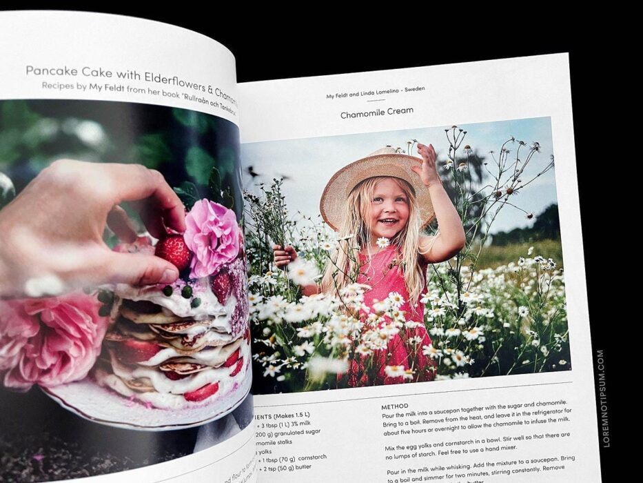 FAIRE Magazine Issue 2 – loremnotipsum.com
