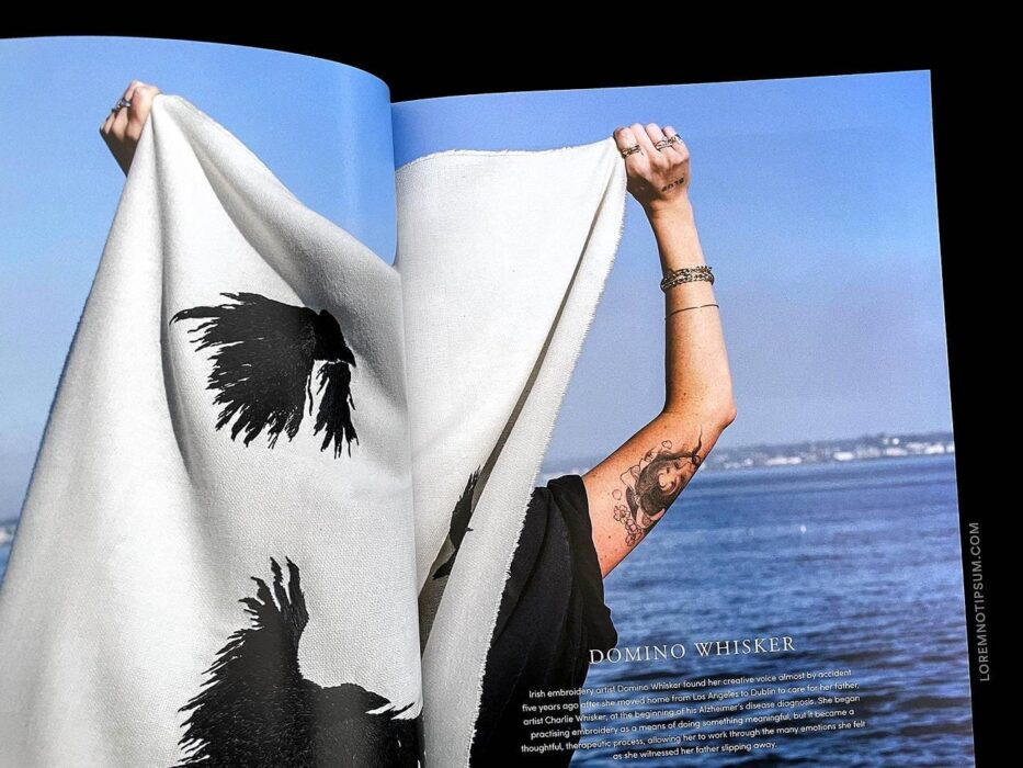 FAIRE Magazine Issue 2 – loremnotipsum.com