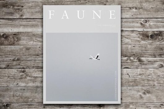 Faune Magazine Volume 1 – loremnotipsum.com