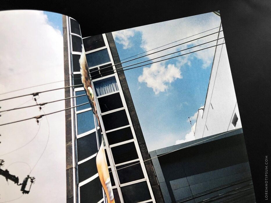 Flaneur Magazine (São Paulo) – loremnotipsum.com