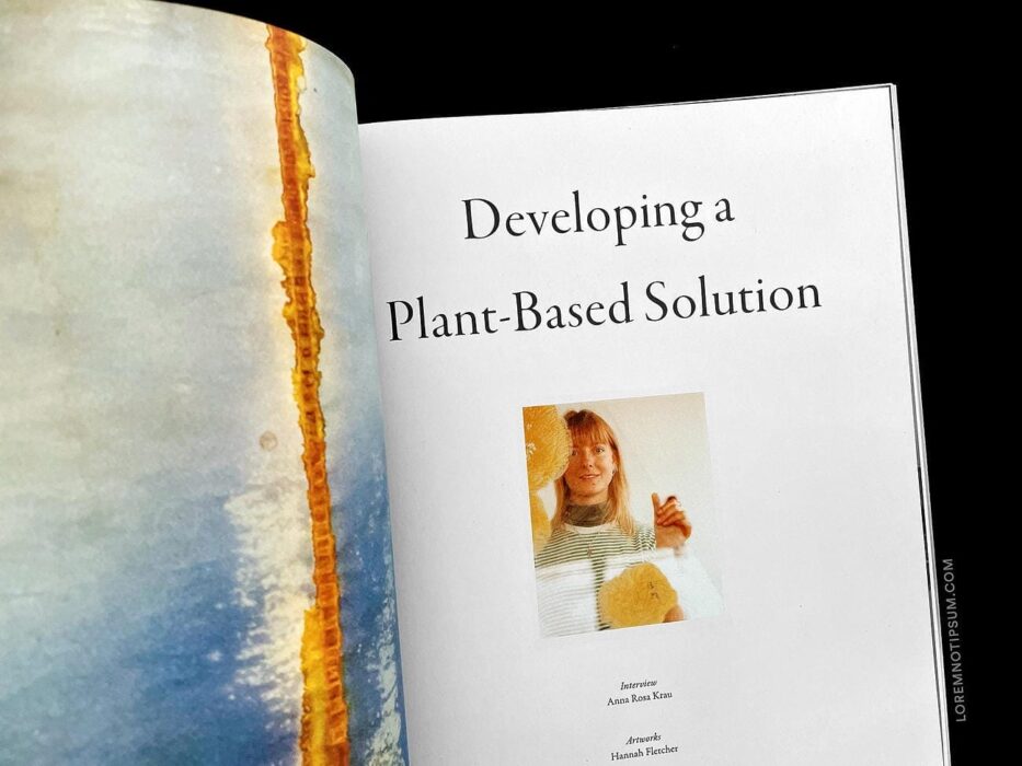 Lissome Magazine Issue 2 – loremnotipsum.com