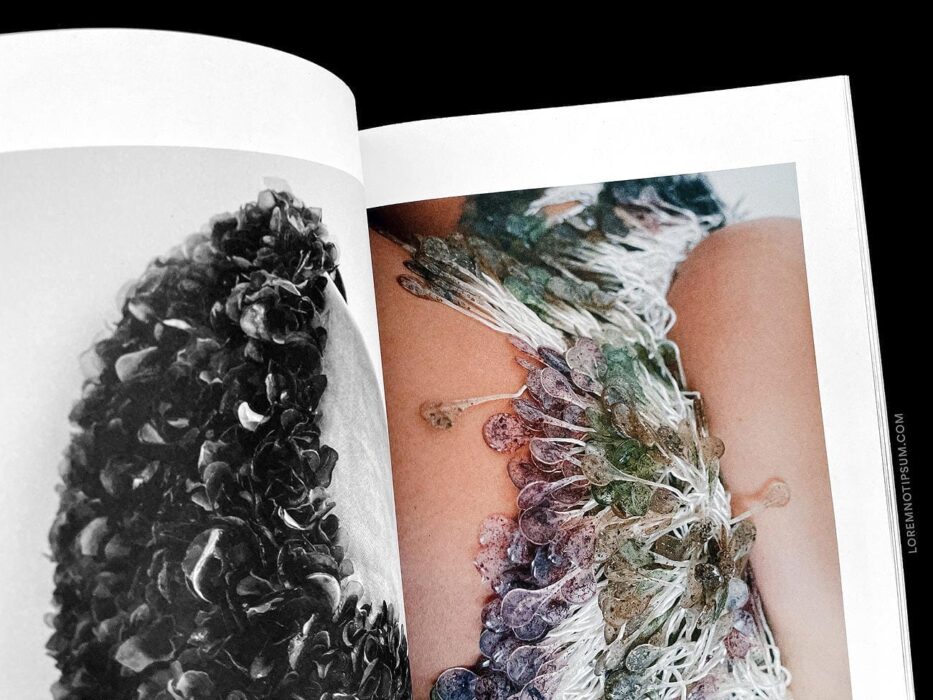 Lissome Magazine Issue 2 – loremnotipsum.com