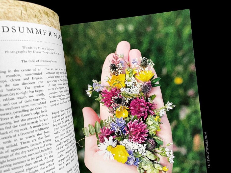Lodestars Anthology Issue 11 (England) – loremnotipsum.com