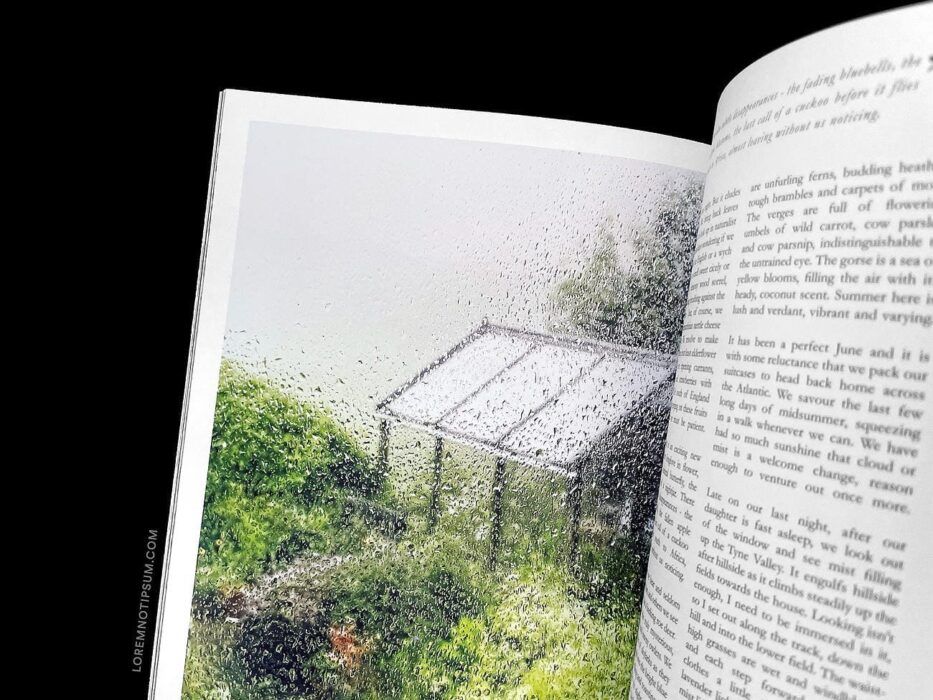 Lodestars Anthology Issue 11 (England) – loremnotipsum.com