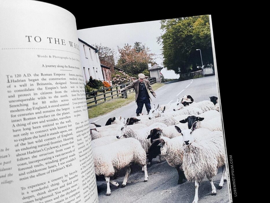 Lodestars Anthology Issue 11 (England) – loremnotipsum.com