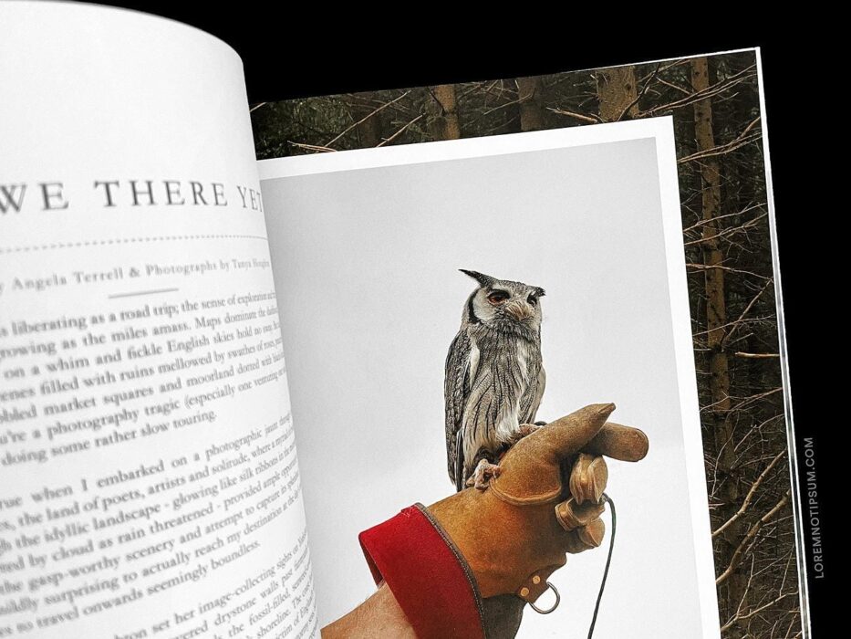 Lodestars Anthology Issue 11 (England) – loremnotipsum.com