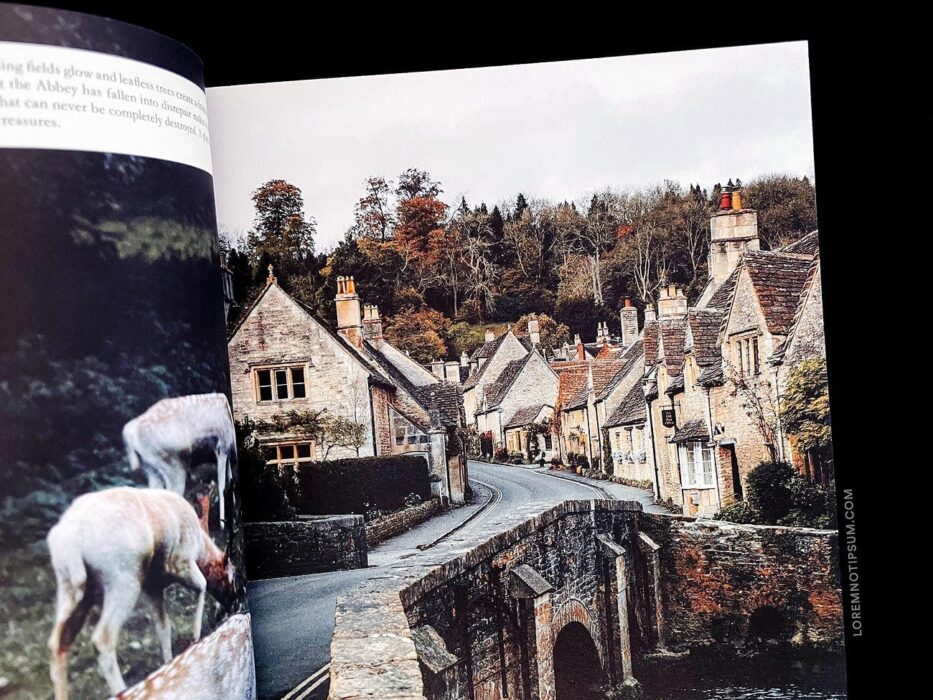 Lodestars Anthology Issue 11 (England) – loremnotipsum.com