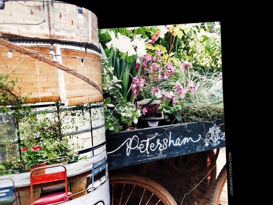 Lodestars Anthology Issue 11 (England) – loremnotipsum.com