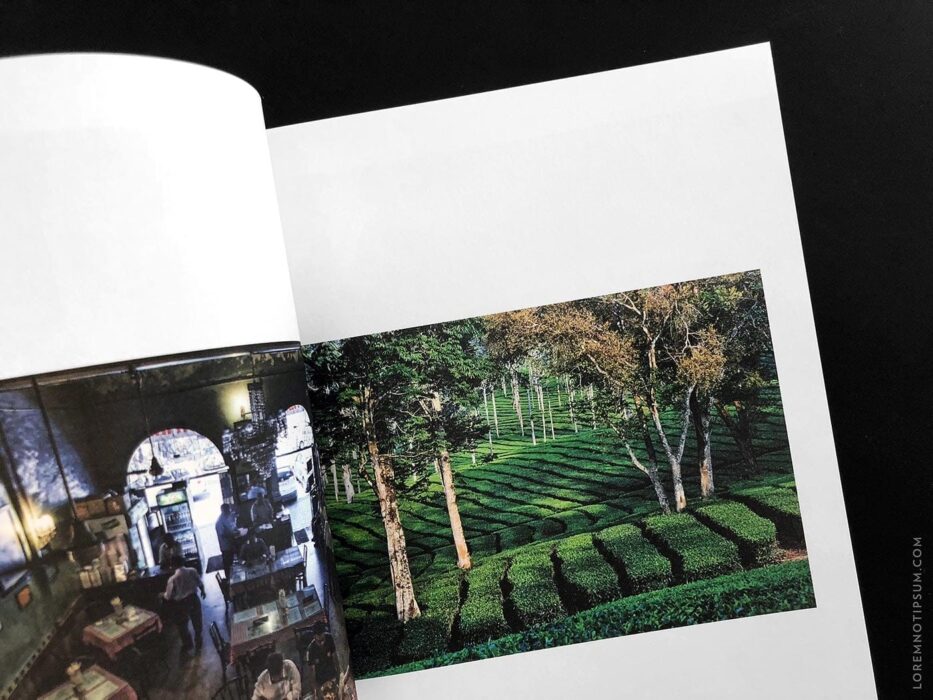Lodestars Anthology Issue 10 (India) – loremnotipsum.com