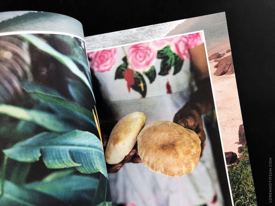 Lodestars Anthology Issue 10 (India) – loremnotipsum.com