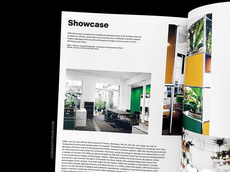 Magazine B Issue 86 (USM) – loremnotipsum.com