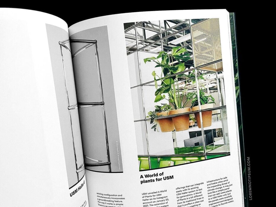 Magazine B Issue 86 (USM) – loremnotipsum.com
