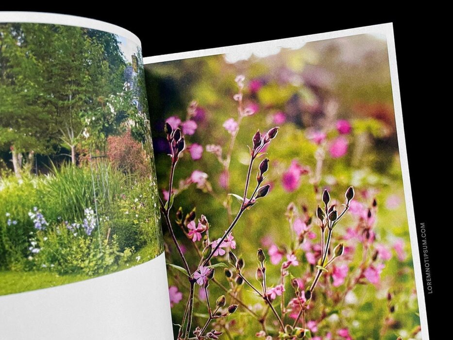Minka Magazine Volume 2 – loremnotipsum.com