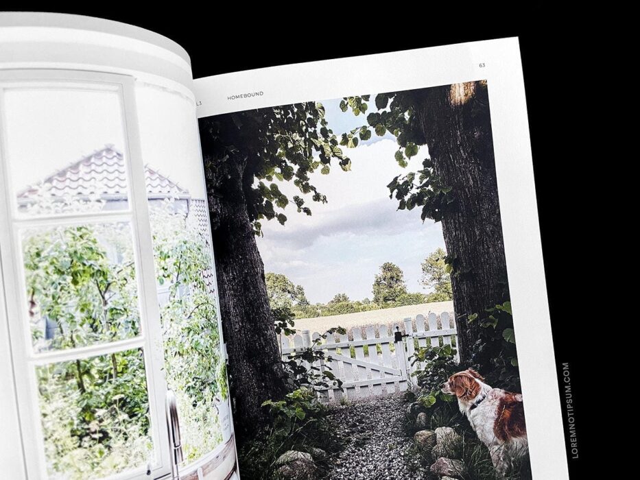 Northletters Magazine Volume 3 – loremnotipsum.com