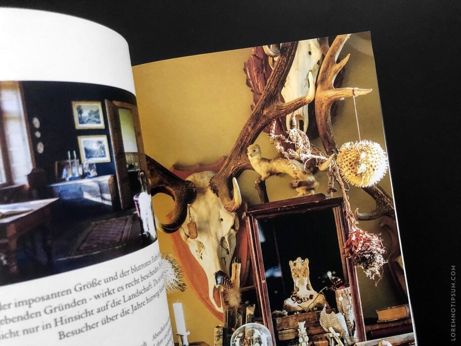 Openhouse Magazine Issue 10 – loremnotipsum.com